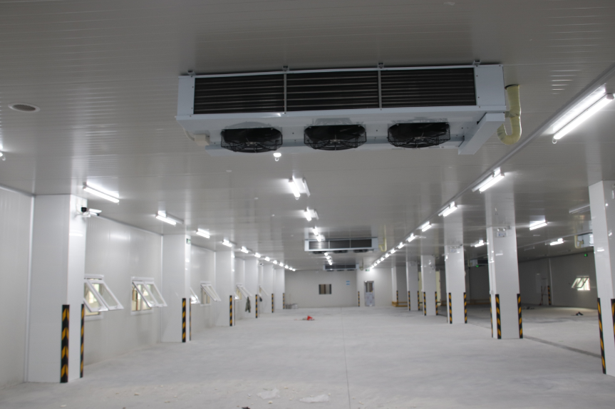 干貨！冷庫設(shè)備節(jié)能的四種方法