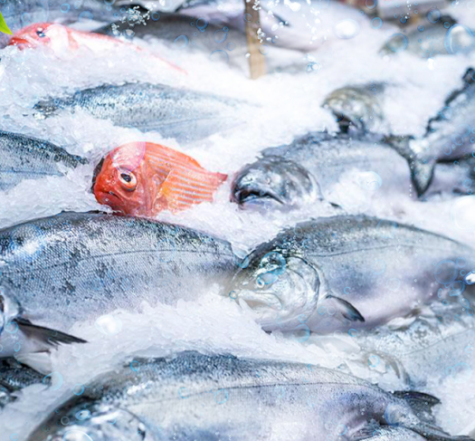 20噸直冷塊冰機(jī)用途