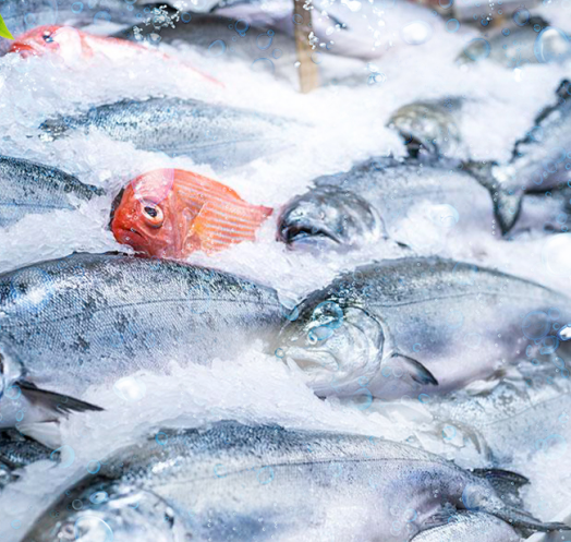 海鮮運輸、食品加工