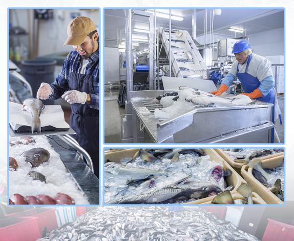 不同行業(yè)對冰塊大小有不同要求