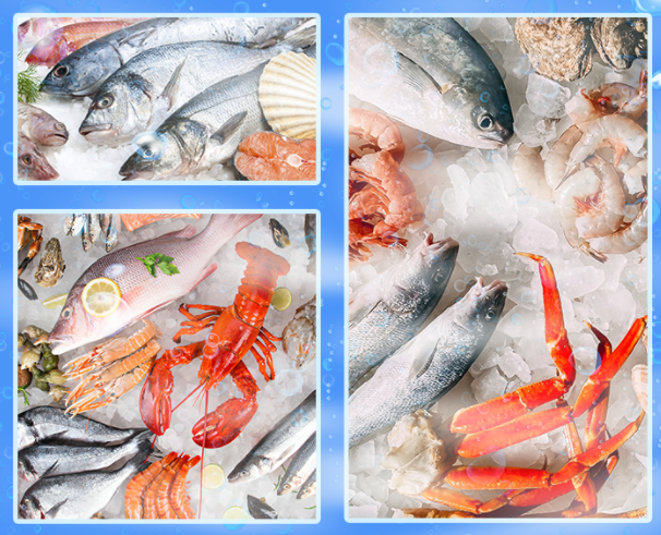 ?水產(chǎn)加工?