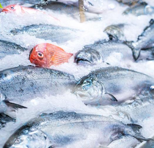 三、適用行業(yè)?