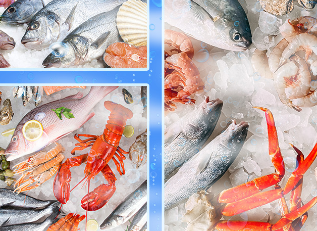 應(yīng)用領(lǐng)域