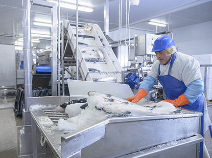 工業(yè)制冰機型號有哪些