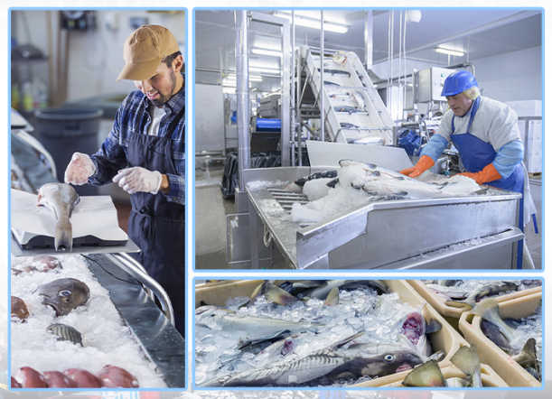 在漁業(yè)中，能滿足大量海產(chǎn)品的冷藏需求